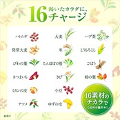 十六茶 アサヒ飲料 ラベルレスボトル 630ml×24本 [お茶] [ノンカフェイン]