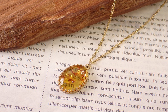 バルティックアンバーネックレス　3.99ct [D12‐149]