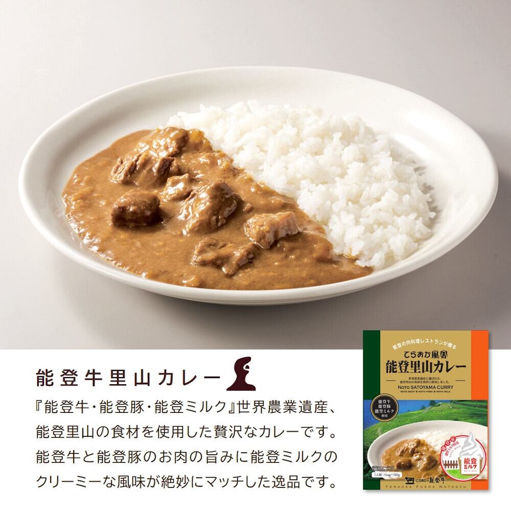 能登里山カレー【BASE-23】