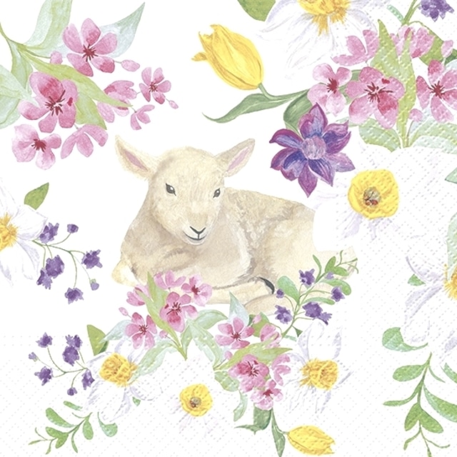 【TETE a TETE】バラ売り2枚 ランチサイズ ペーパーナプキン Lamb in Flowers ホワイト