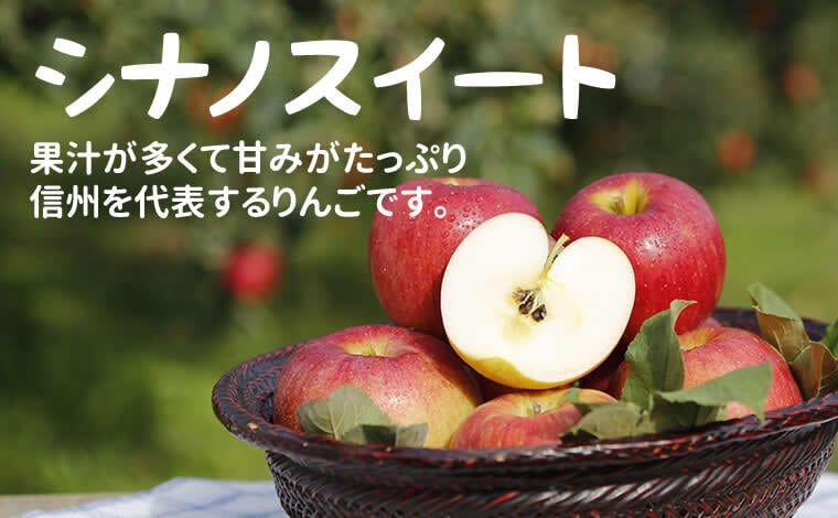 数量限定！シナノスイート　良品3kg×２ 樹上完熟シナノスイート3kg ※贈答用Ⅱ（赤秀～秀ランク）（7-13玉