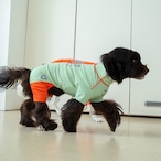 【puppygallery公式】Essential Training Suit (Short ) M-L