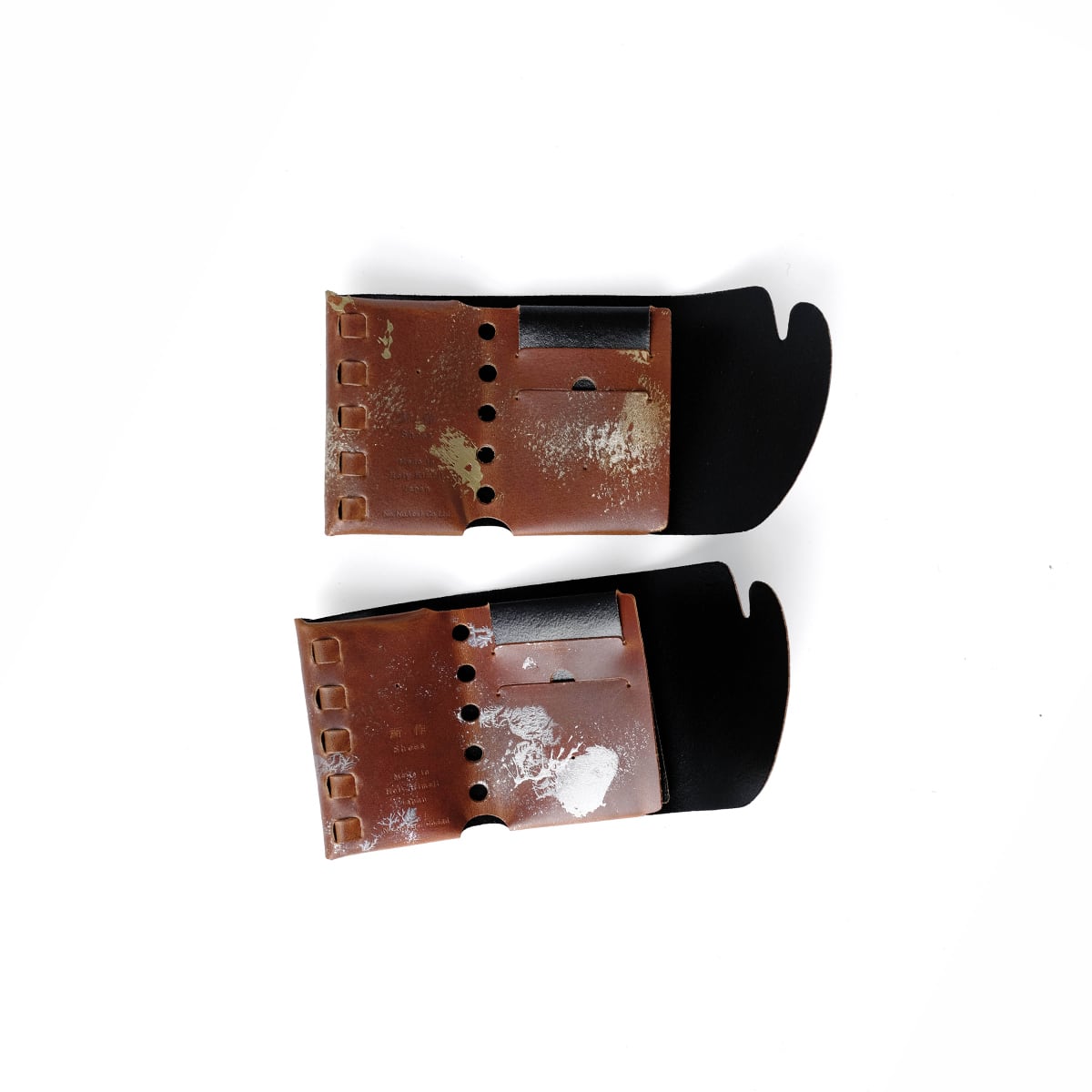 金環ソテツ 2.5号ポットつき 2株セット❗極上柄❗ 金環ソテツ 2.5号