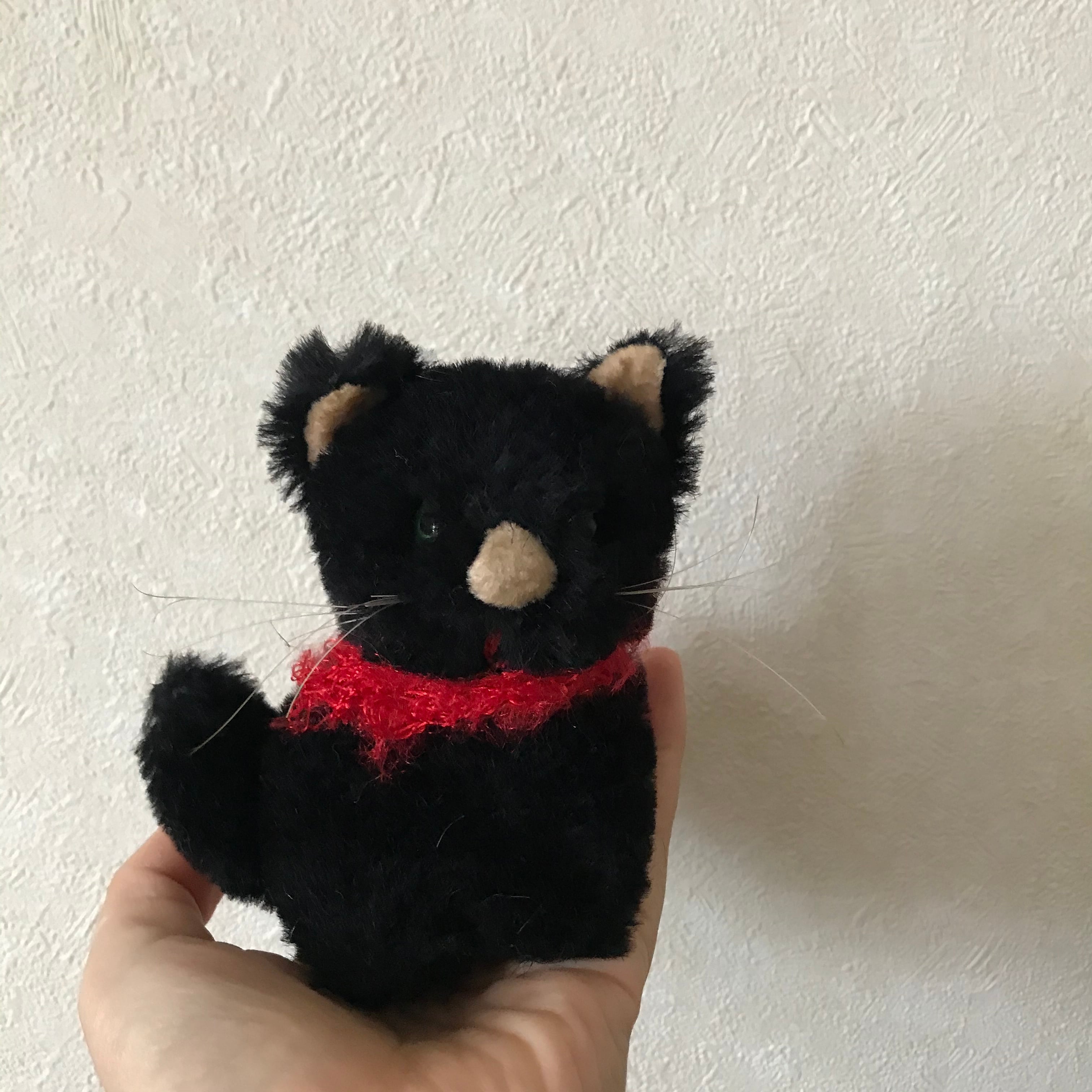 顔の大きな黒猫