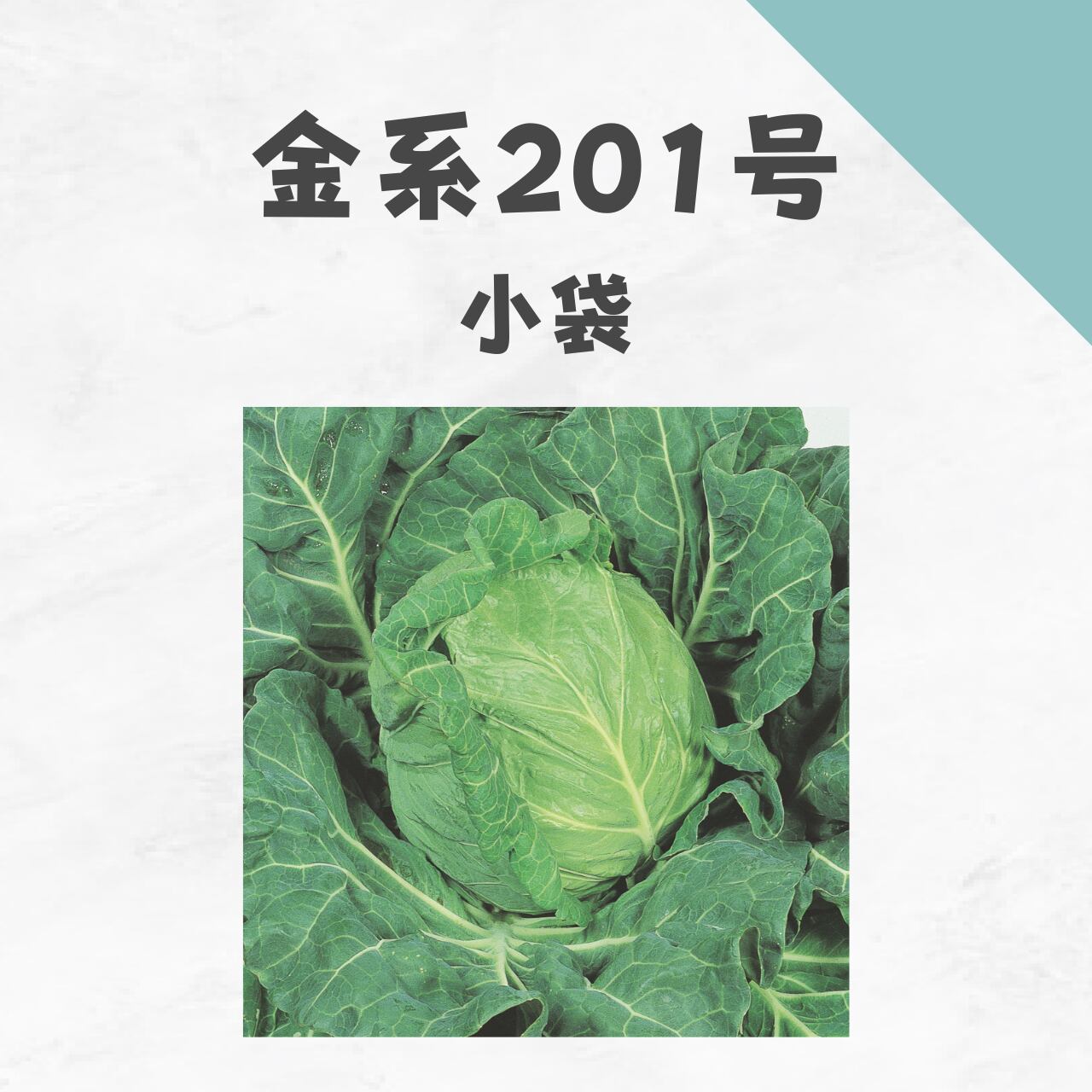 金系201号 キャベツ種子・小袋