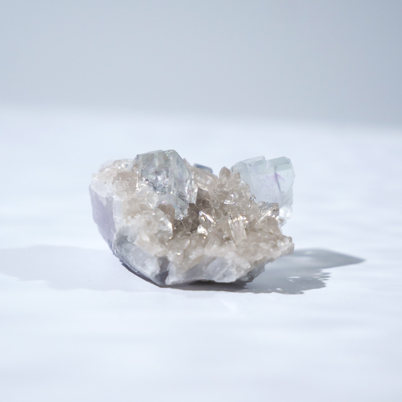 シャンファーリン産 フローライト スモーキークォーツ 共生 / 原石 標本【E_1】