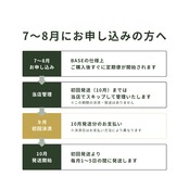 【定期便】玄米10kg｜徳地きぬむすめ｜農家直送 山口県｜ 送料無料（北海道、沖縄を除く）