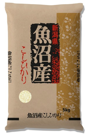 新潟県魚沼産こしひかり　5㎏