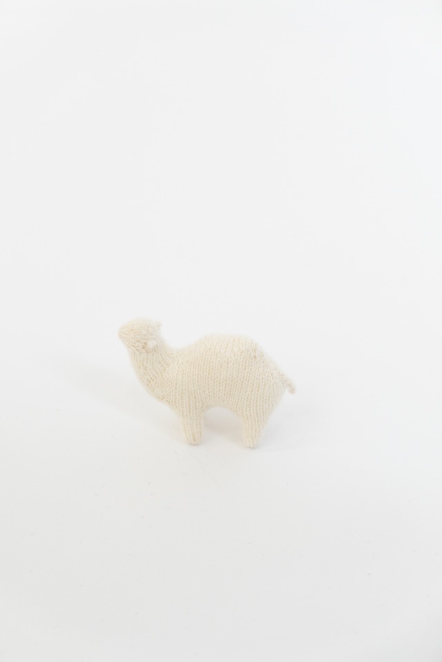 小さなフタコブラクダ