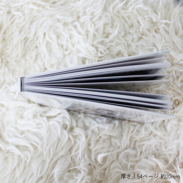 プレミアム（54ページ）