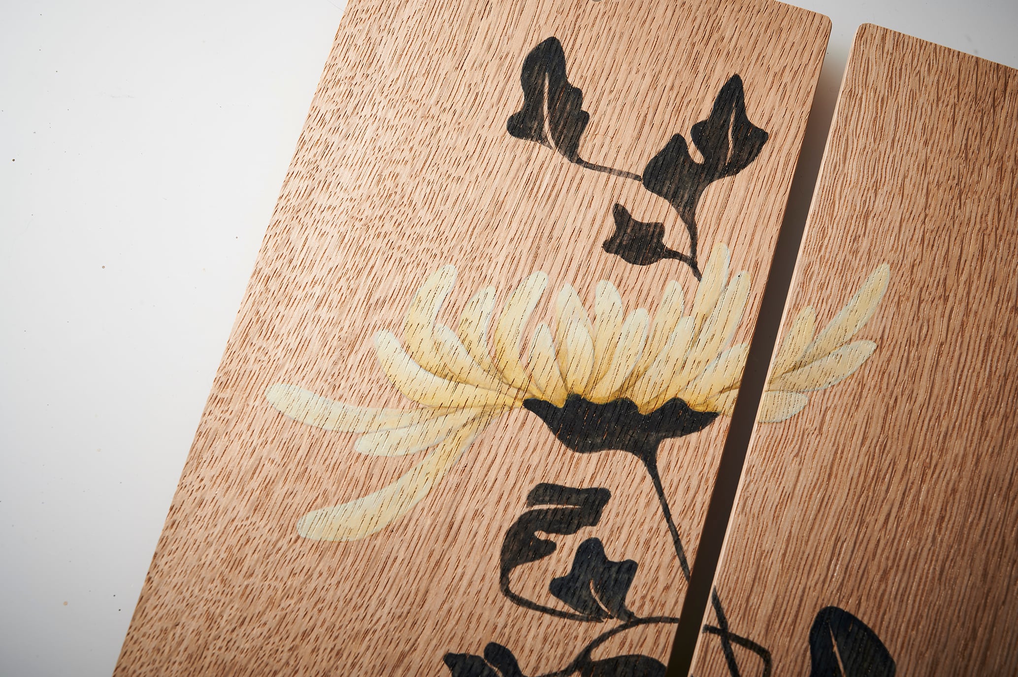 菊｜Chrysanthemum | GOTTA