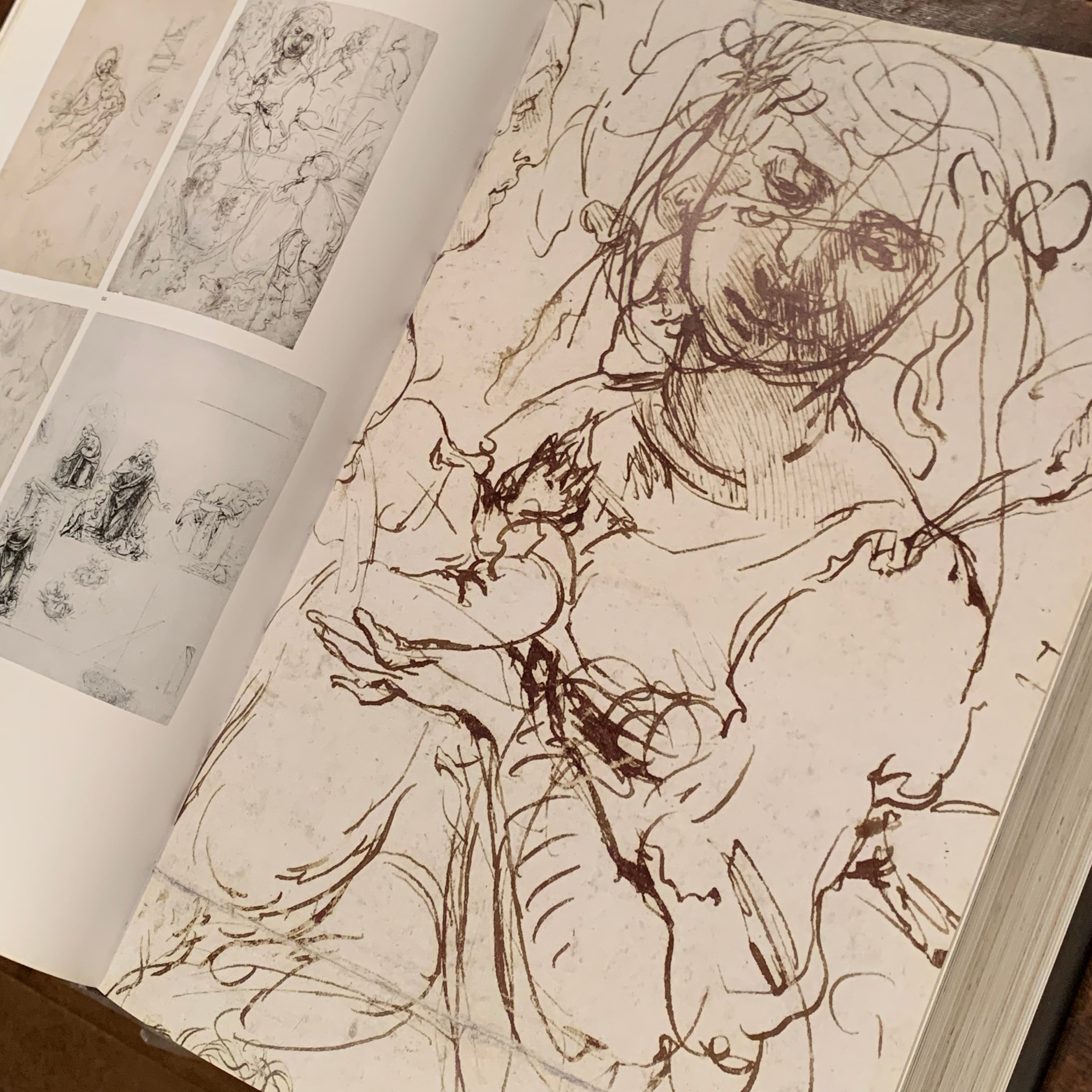 レオナルドダヴィンチ 素描集 レオナルド・ダ・ヴィンチ全絵画作品・素描集