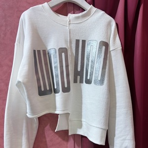 リズレイ RISLEY risley 裏使いスウェット