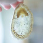 Moon Drops - アゲートヒーリングチャイム / Agate Sun Catcher Wind Chime 1052