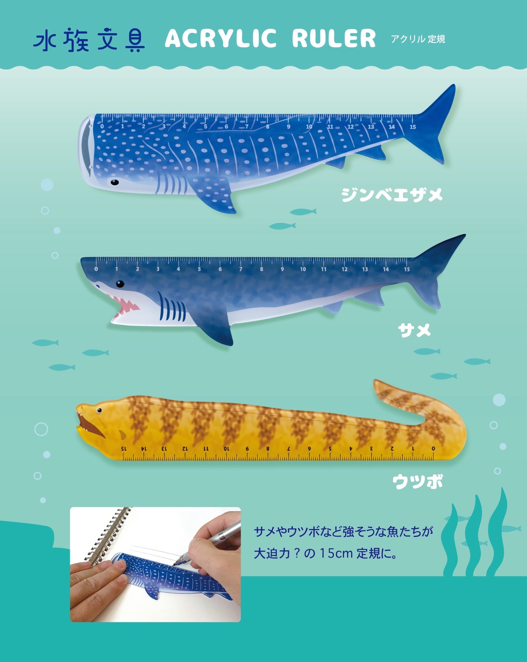 ＊海の生き物　オーダーページ＊ 海の生き物シリーズ（デコスイ） | DECOLE SHOP