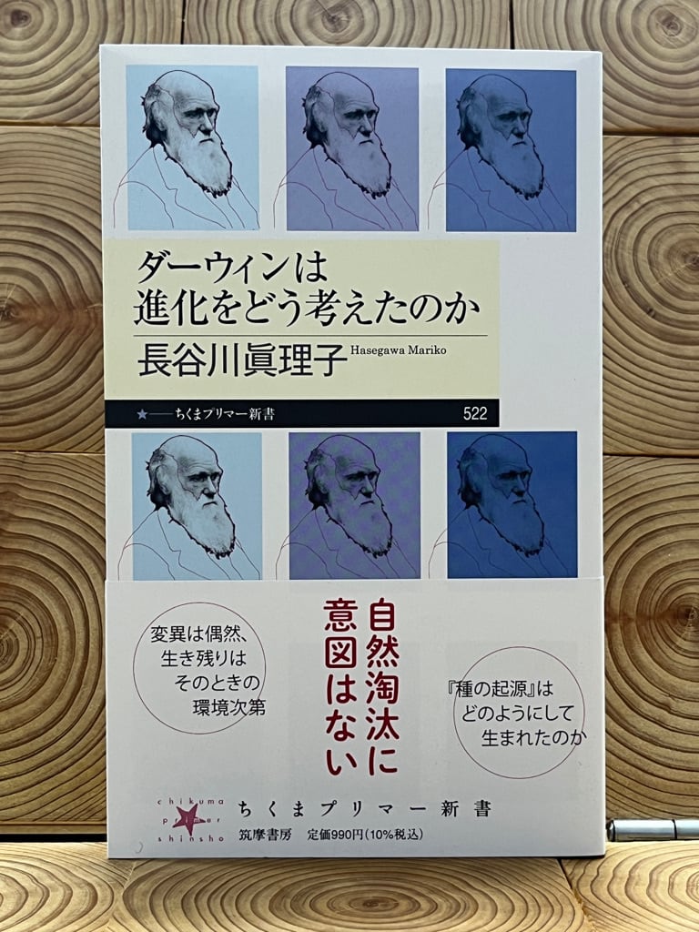 新版】アイスランド サガ | 冒険研究所書店
