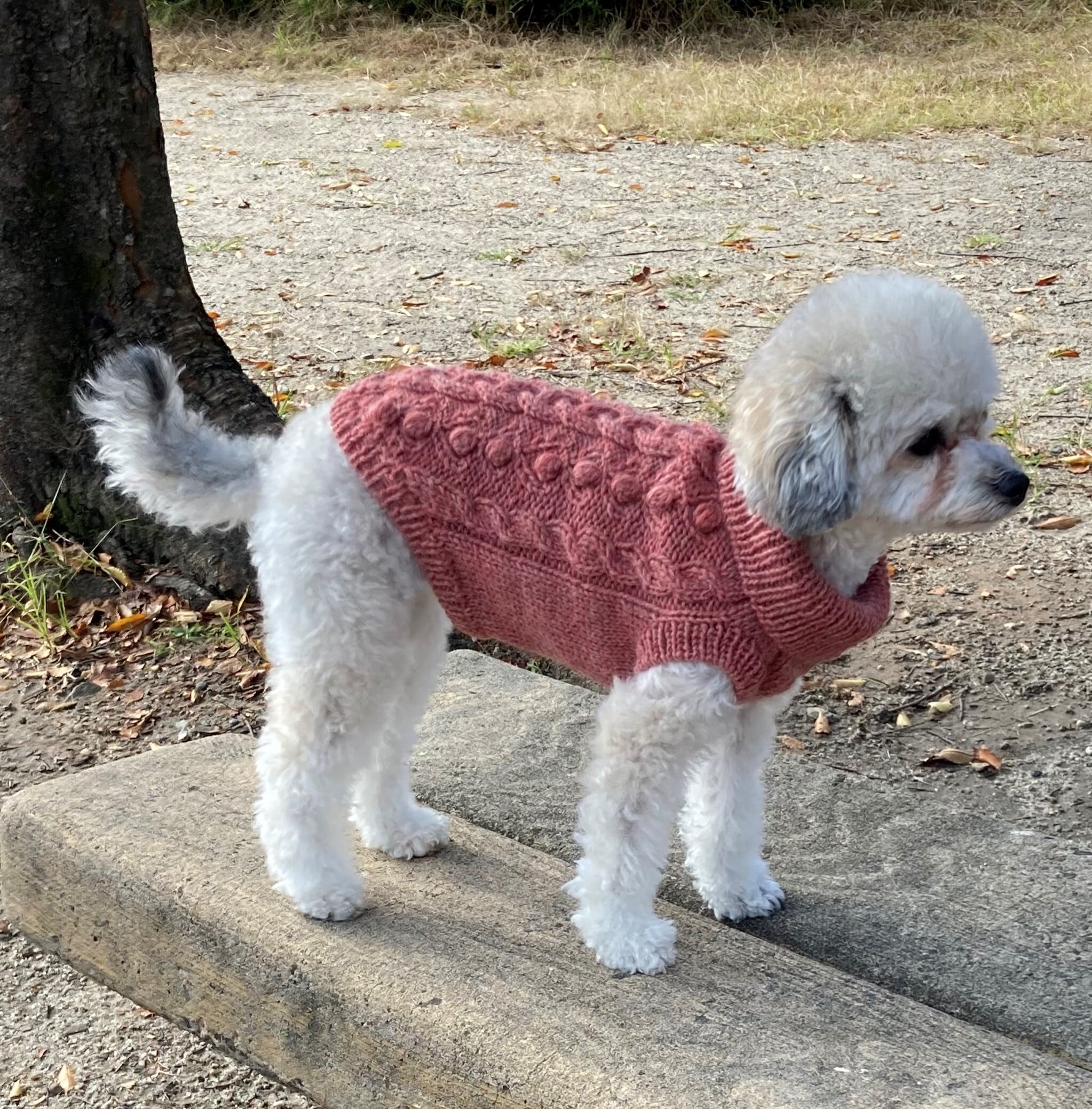 ●専用● 犬服 手編みアランセーター バイカラー ケーブル模様 アランツイードで編む！かのこダイヤのアラン模様ワンコニット