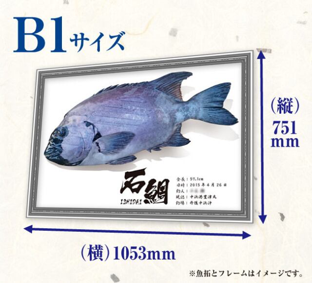 B1サイズ】デジタル魚拓 | SOBI web shop