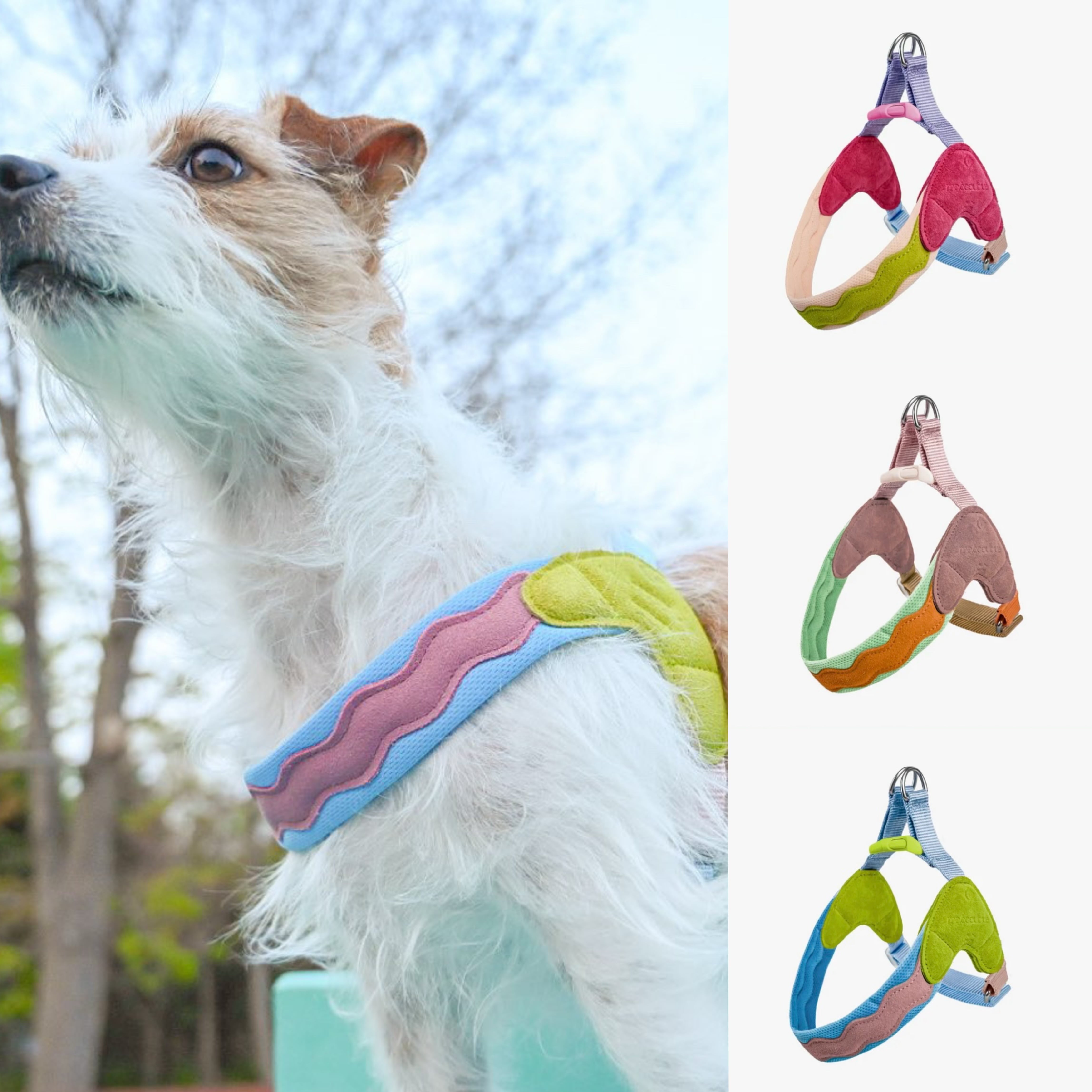 3色展開定番色【MAOGOUBLUE】アイランドV型ハーネス | ペット用品