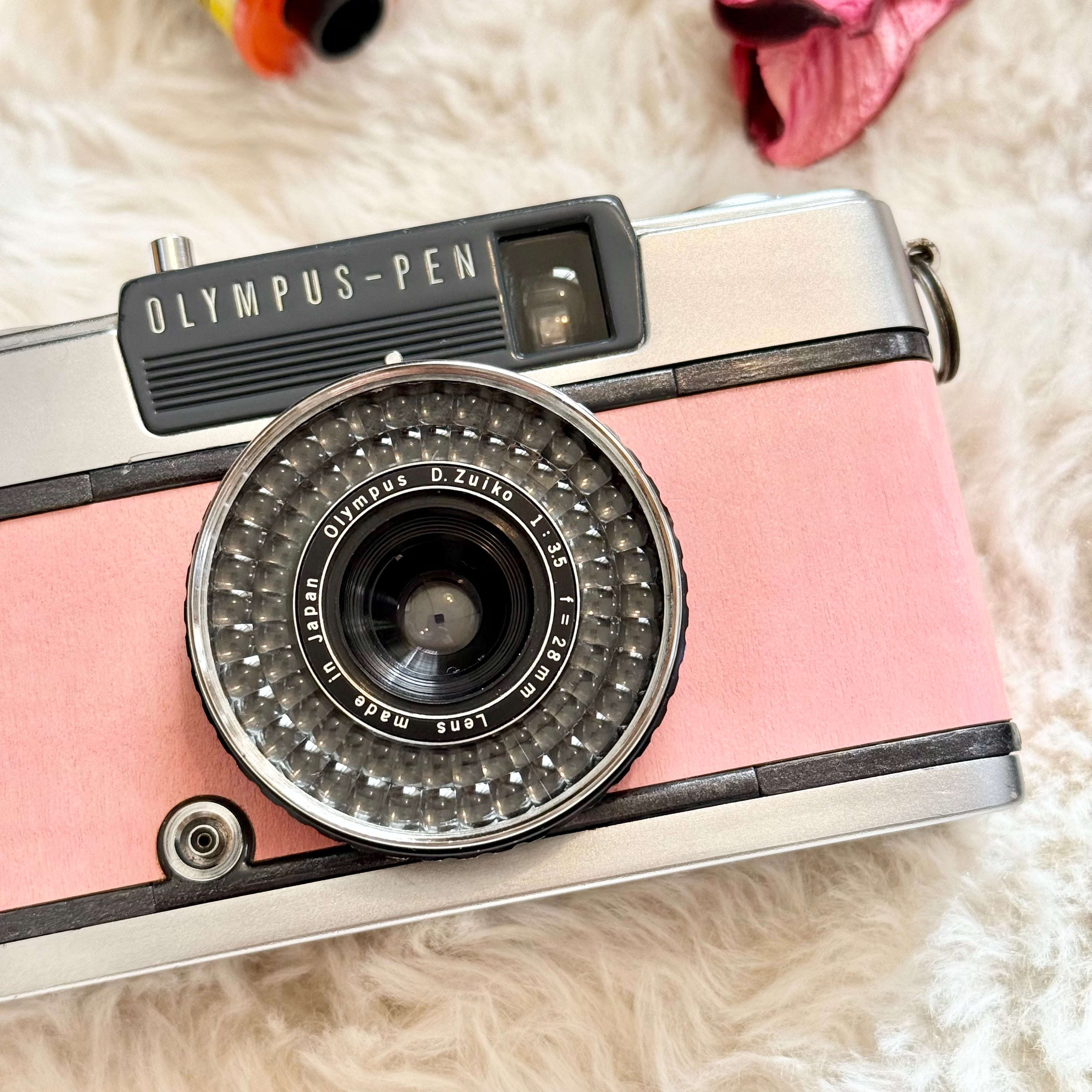 Sakura さくら Olympus-PEN EE2 | Macha Cameras