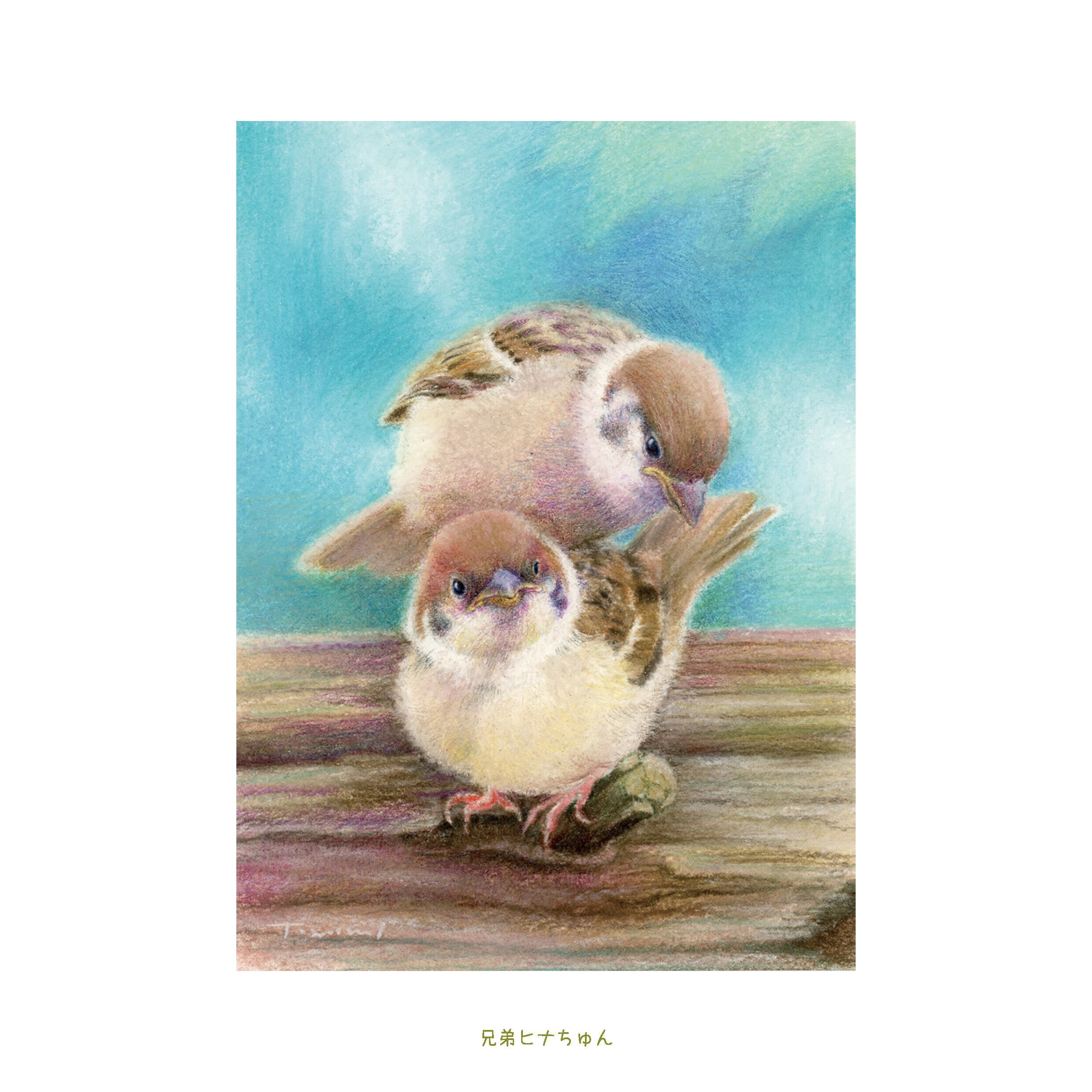 雀 すずめ 額装付き 原画 雀 すずめ 額装付き 原画