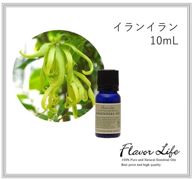 イランイラン　10ml