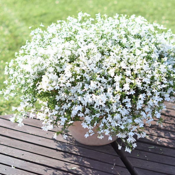 e27c034bf5064212fead17466e8e9b