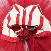 バレエ 衣装 チャコット Chacott チュチュ 赤 無地 コンクール 発表会 キトリ ドンキホーテ ダンス パーティ 日本製 レッド系 コスチューム ジュニア 子供 バレエ練習 発表会用 衣装女性用 バレエチュチュ 舞台衣装 発表会ドレス ダンス衣装 フェスティバル おしゃれ