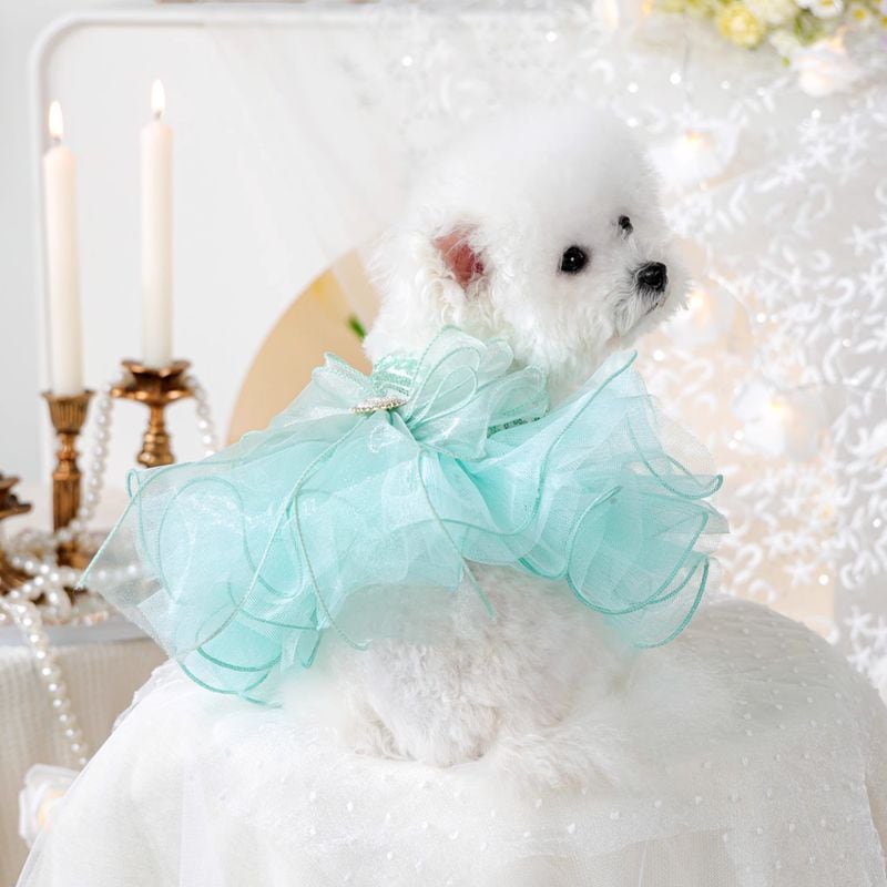 アクアグリーンのゴージャスドレス 犬服 00975