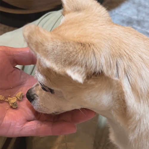 愛犬のためのおやつ ヤギばぁの犬用くわクッキー(大)200g・画像7