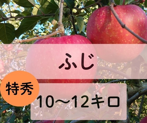 ☆12月８日から　ふじ【特秀10～12キロ】8,000円(税込)