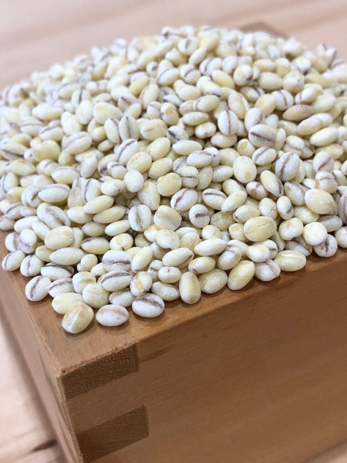 もち麦【キラリモチ】450g 令和7年産 | 農や nouya.tanba