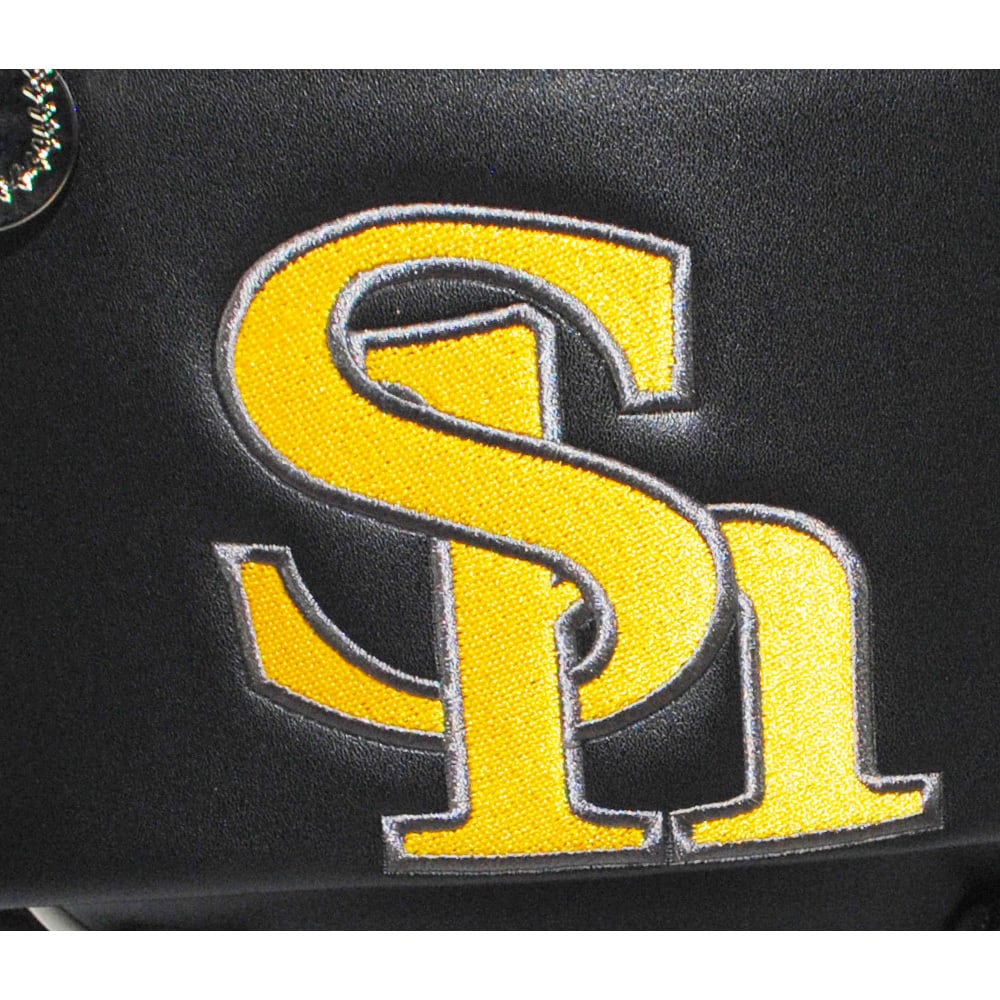 福岡ソフトバンクホークス 9.5型キャディバッグ SBCB-5436