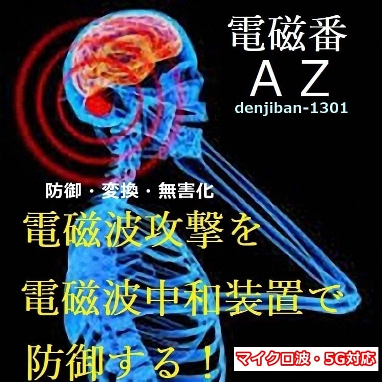 有害電磁波中和装置「電磁番AZ」1個 | 電磁波中和放電装置「電磁番