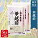 福井県産華越前 10kg（5kg×2）