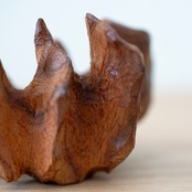 FOLDS