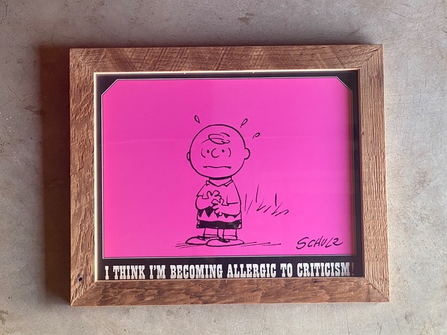 60s PEANUTS DATE BOOK POSTER FRAMING【43】