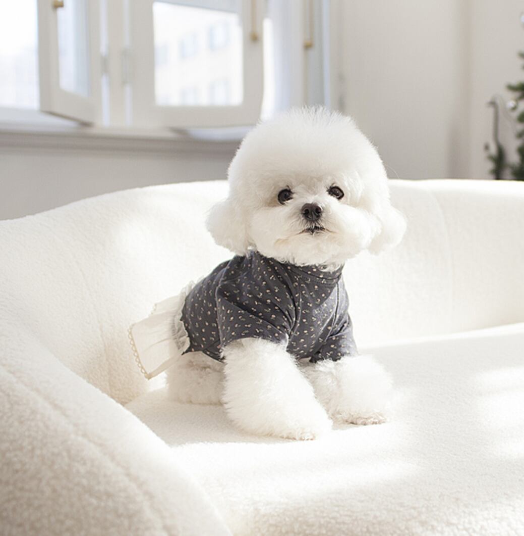 予約【cocochien】Risen Mock Neck