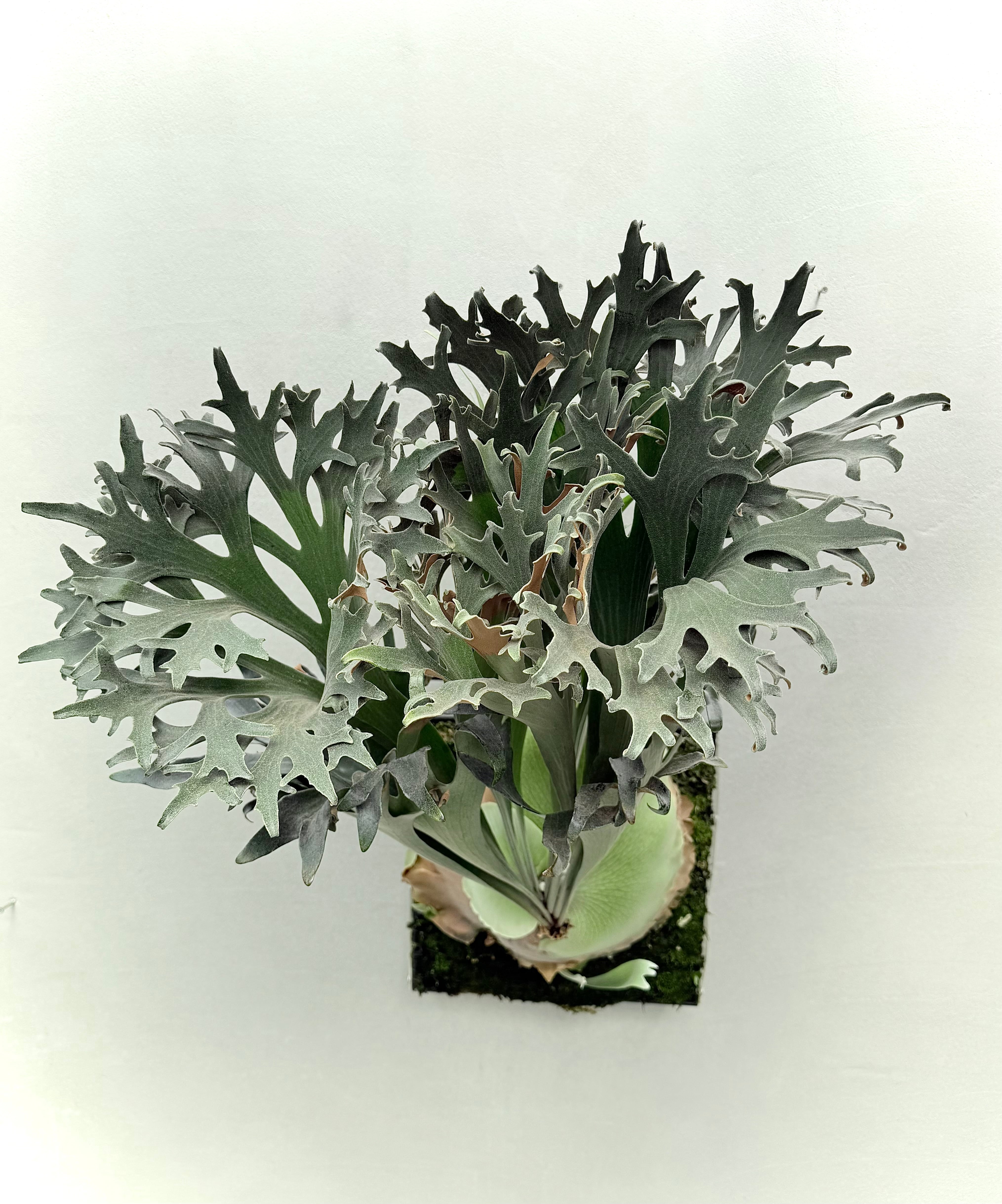 e2921503b23e2a6308b42349c0ce79