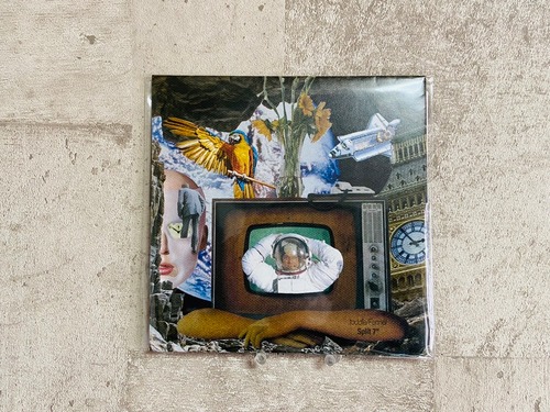 「split 7”」 Fennel / toddle