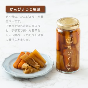 宮ぴくるす 無添加ピクルス ミニサイズ6種類セット｜栃木産野菜×老舗酢蔵仕込み おしゃれな贈り物にも