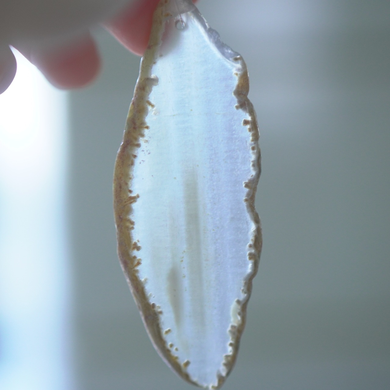 TSUKIKAGE 02 - アゲートヒーリングチャイム / Agate Sun Catcher Wind Chime 887