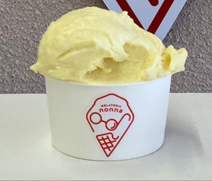 奈良県産とうもろこしのジェラート