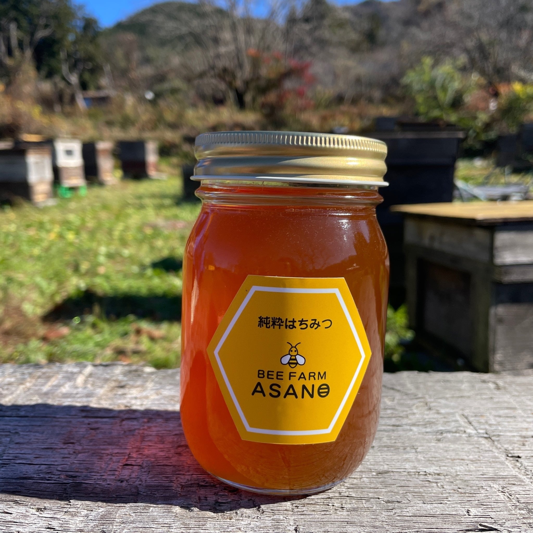 はちみつ 野山の花 500㌘ | BEE FARM ASANO