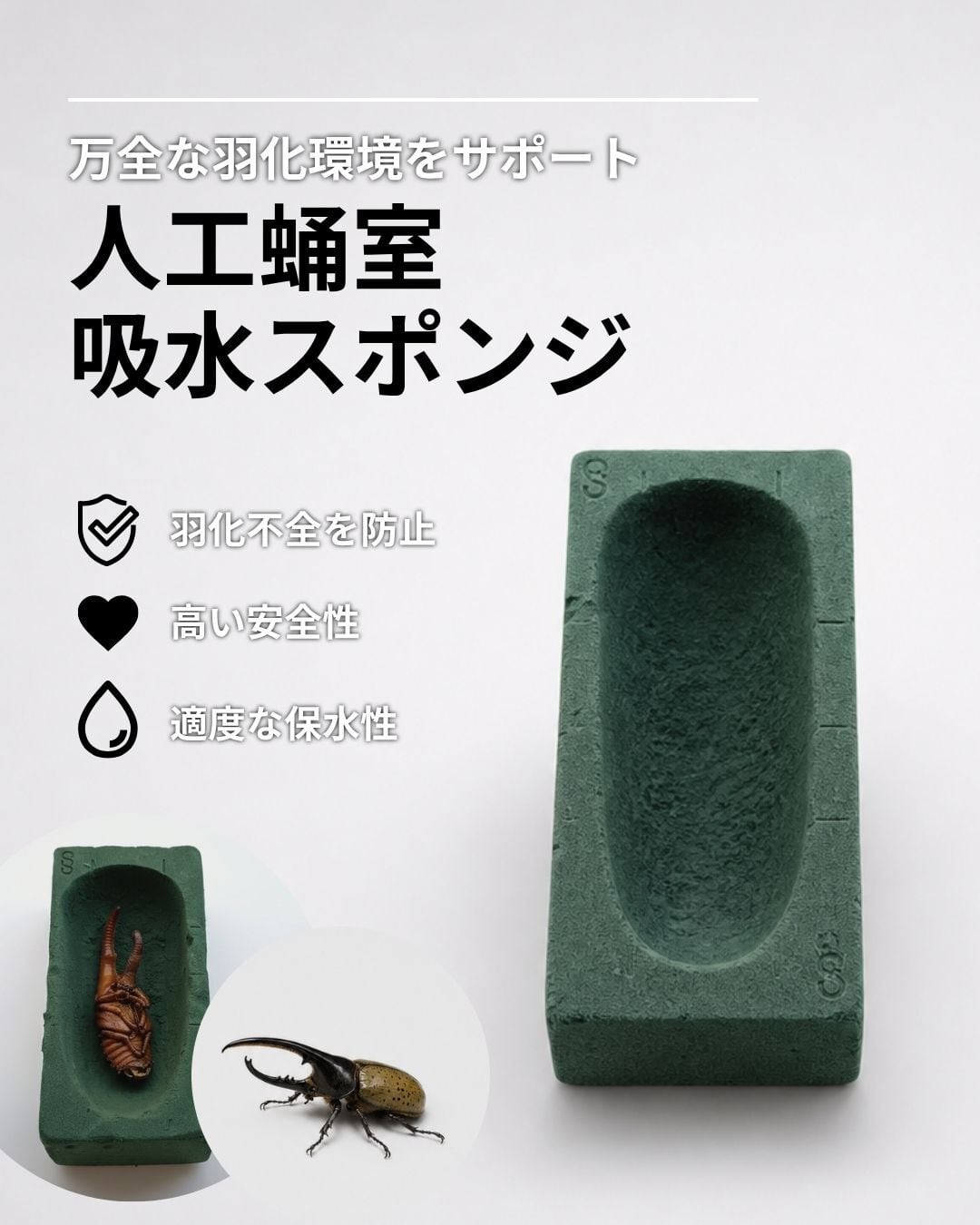 ヘラクレスオオカブトの羽化に最適！】人工蛹室 | ヘラクレス王国