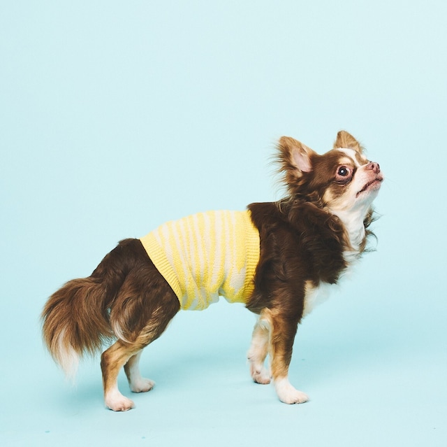 JACQURAD KNIT HARAMAKI-YELLOW