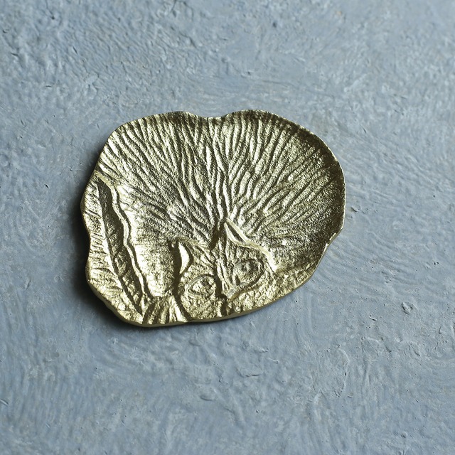 キラリと輝く、ネコが見つめるトレイ