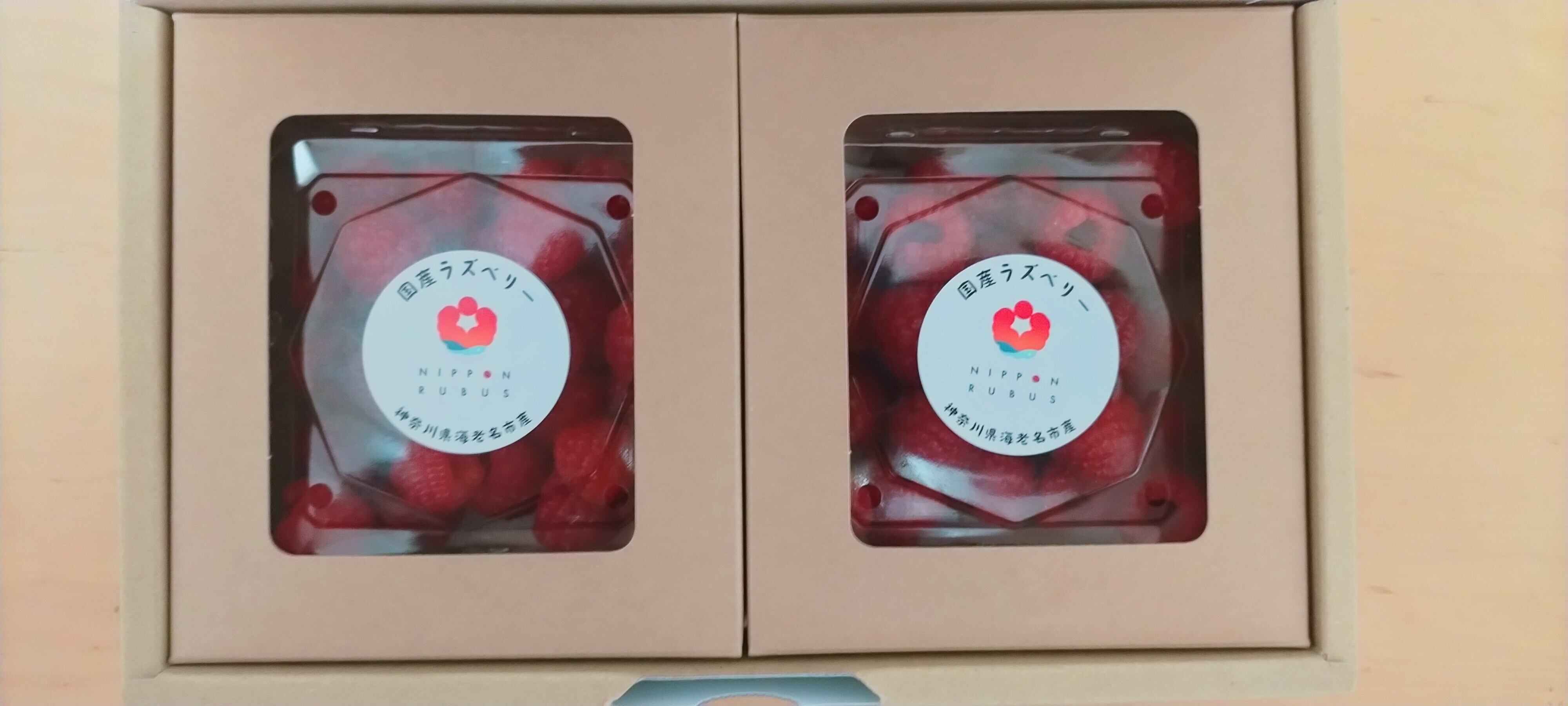 2箱セット（300g）：フレッシュの国産ラズベリー ｜予約販売（農家直送