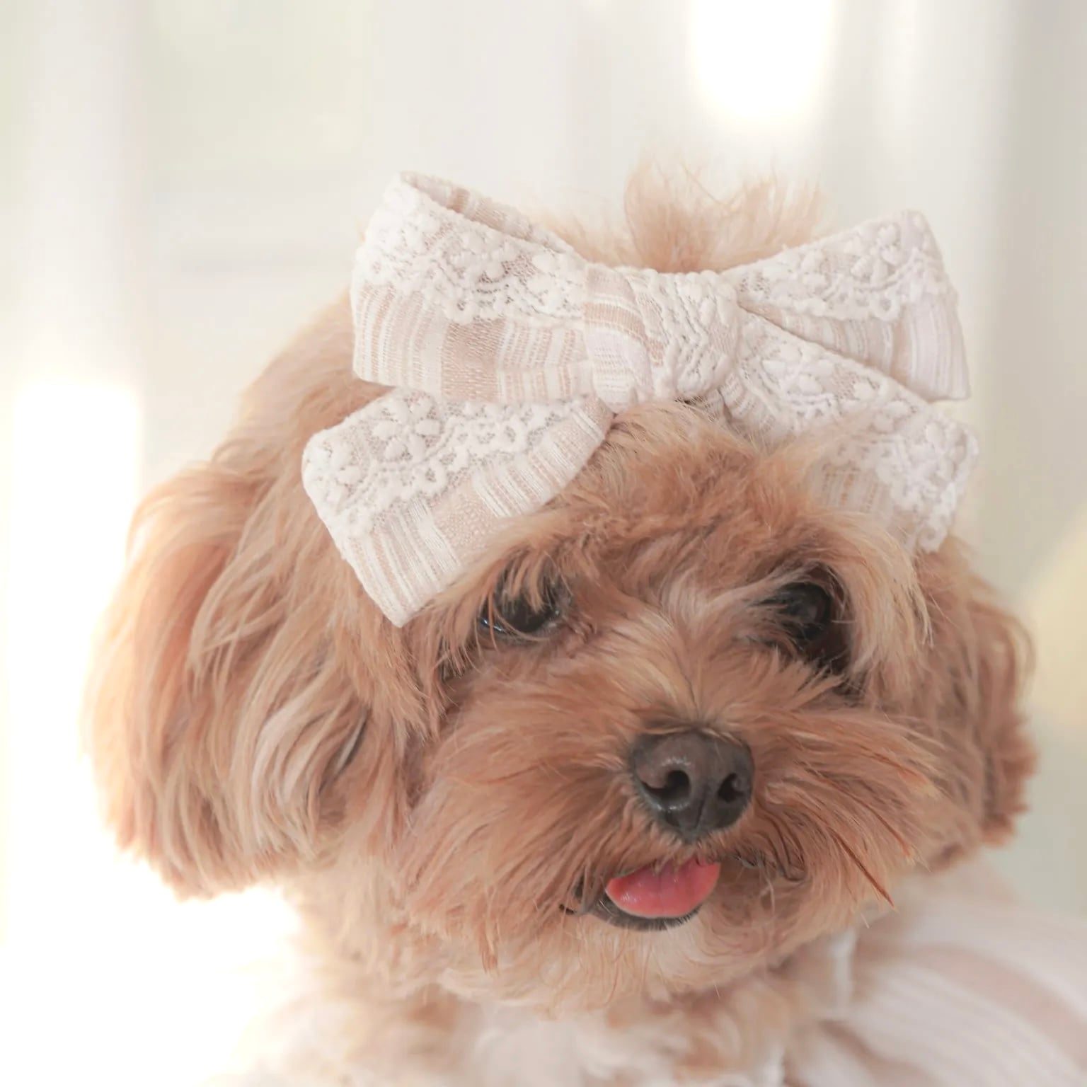 Sunkissed – Ribbon Hair Pin