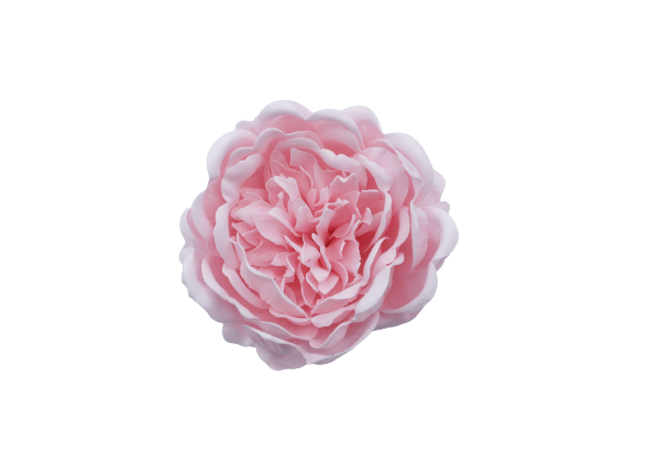 シャクヤクY-P1薄ピーチ（9輪入り）